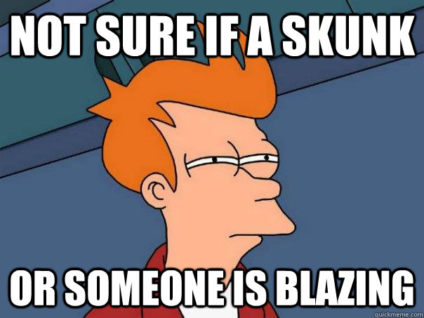 not sure if a skunk or someone is blazing   Futurama Fry