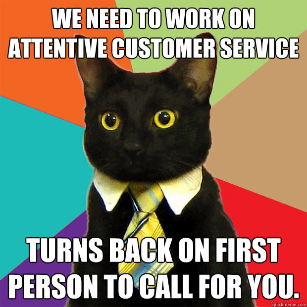 We need to work on attentive customer service Turns back on first person to call for you.  Business Cat