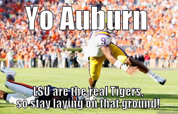 YO AUBURN LSU ARE THE REAL TIGERS, SO STAY LAYING ON THAT GROUND! Misc