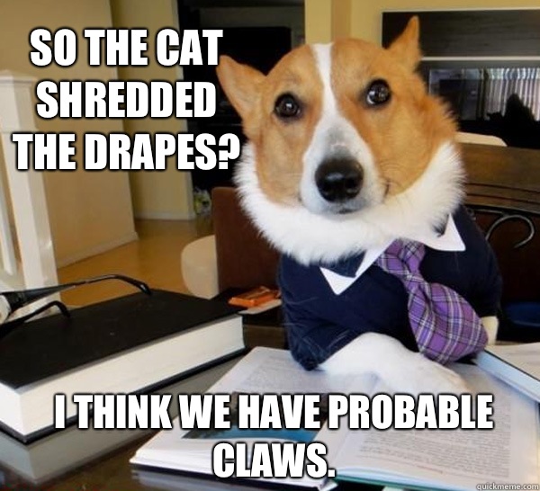 So the cat shredded the drapes? I think we have probable claws.  Lawyer Dog