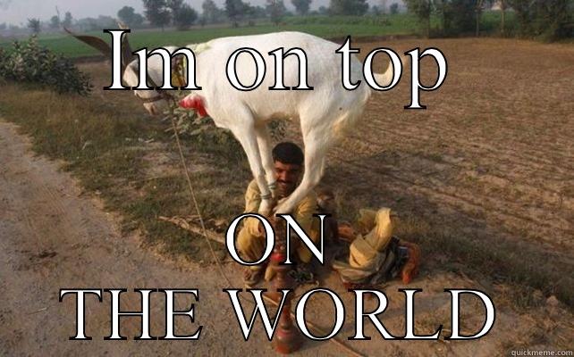 I'm on top of the world - IM ON TOP ON THE WORLD Misc