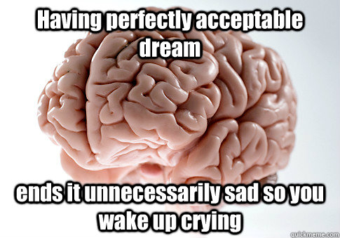 Having perfectly acceptable dream ends it unnecessarily sad so you wake up crying  Scumbag Brain