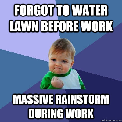 Forgot to water lawn before work Massive rainstorm during work  Success Kid