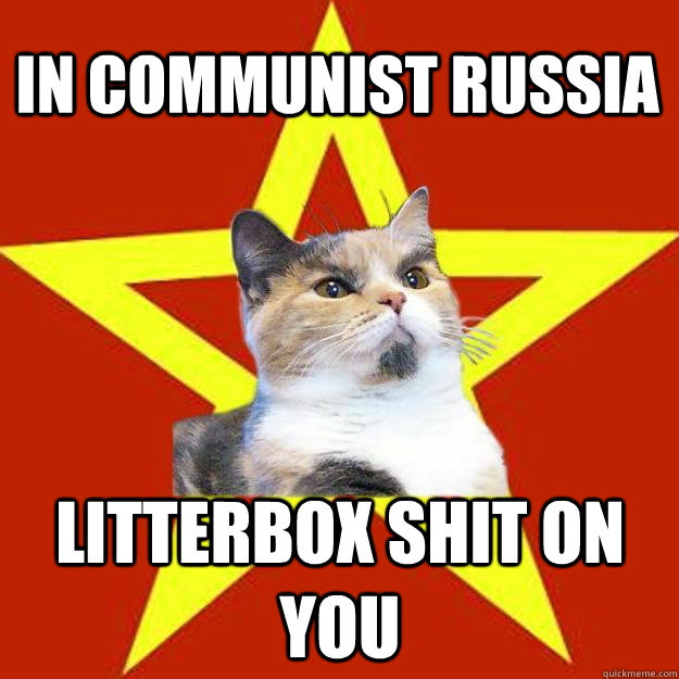 In Communist Russia litterbox shit on you  Lenin Cat