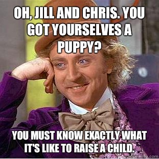 Oh, Jill and Chris. You got yourselves a puppy? You must know exactly what it's like to raise a child.  Condescending Wonka