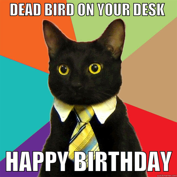    DEAD BIRD ON YOUR DESK       HAPPY BIRTHDAY Business Cat