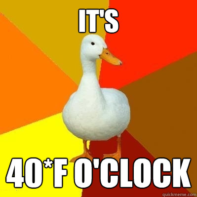 IT'S 40*F O'CLOCK - IT'S 40*F O'CLOCK  Tech Impaired Duck