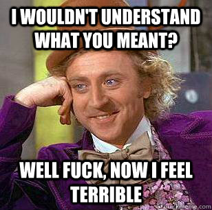 I wouldn't understand what you meant? Well fuck, now I feel terrible  Condescending Wonka