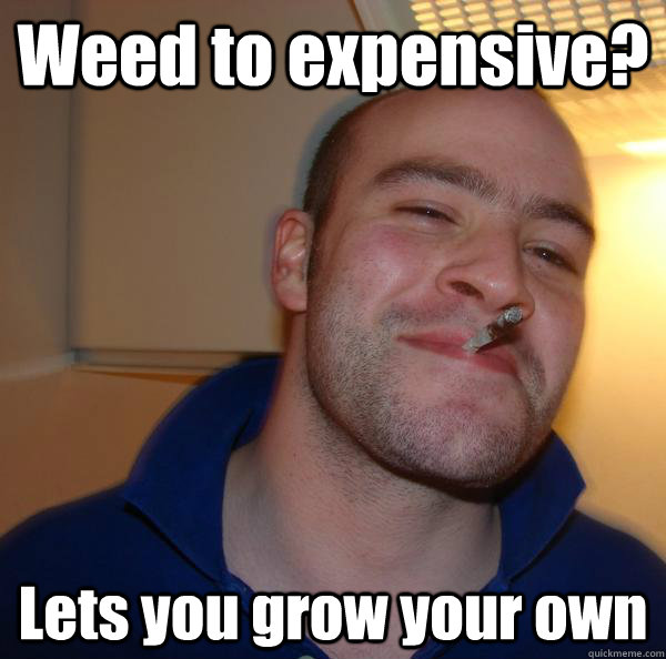 Weed to expensive? Lets you grow your own - Weed to expensive? Lets you grow your own  Misc