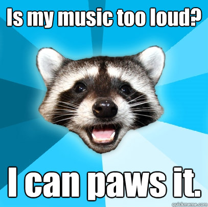 Is my music too loud? I can paws it.  Lame Pun Coon