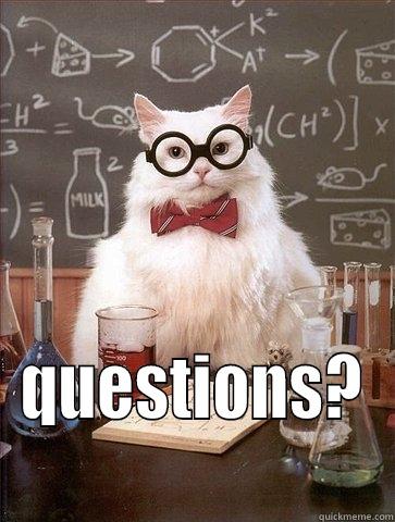  QUESTIONS?  Chemistry Cat