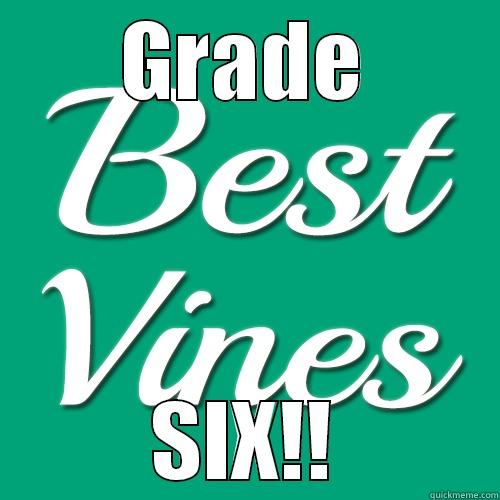 hahahahahahah best vine pic - GRADE SIX!! Misc