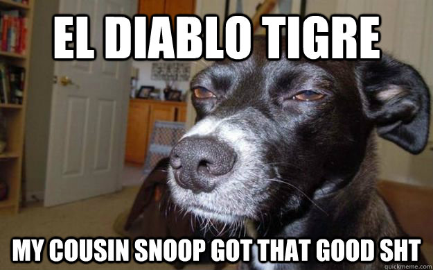 EL DIABLO TIGRE MY COUSIN SNOOP GOT THAT GOOD SHT  Skeptical Mutt