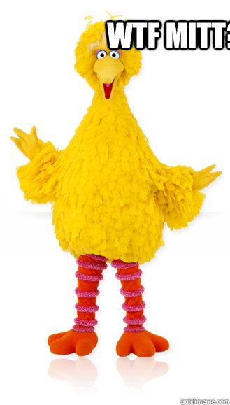 WTF Mitt?  Big Bird