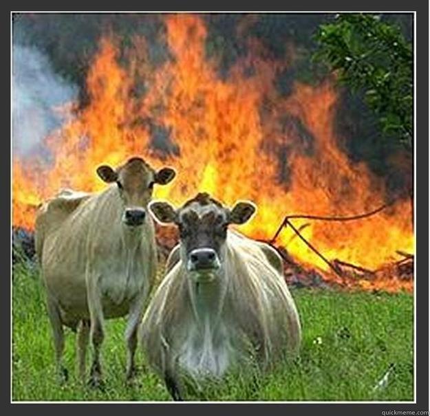 got the fire goin where are the marshmellows -   Evil cows