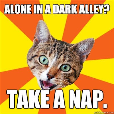 Alone in a dark alley? Take a nap.  Bad Advice Cat