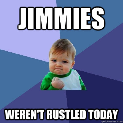 Jimmies weren't rustled today  Success Kid