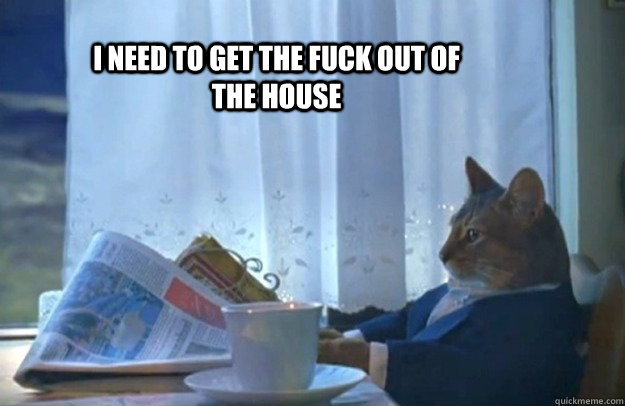 I need to get the fuck out of the house  Sophisticated Cat