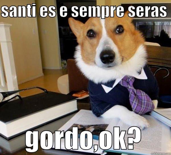 wwwwwwwwwwwwwwww 212 ggggggggggggg42 - SANTI ES E SEMPRE SERAS  GORDO,OK? Lawyer Dog