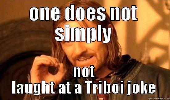 ONE DOES NOT SIMPLY NOT LAUGHT AT A TRIBOI JOKE Boromir