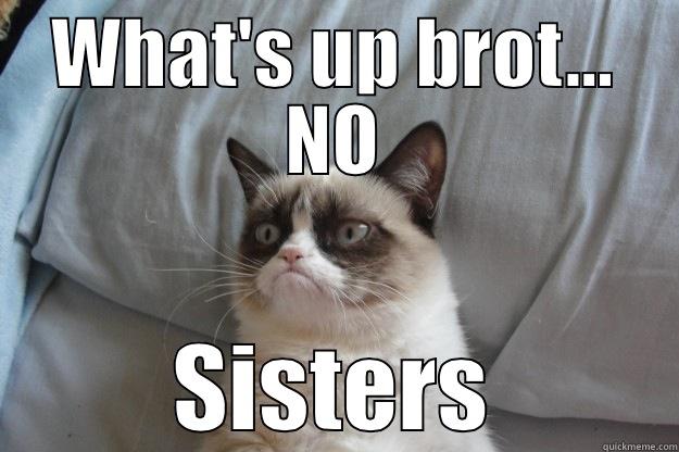 WHAT'S UP BROT... NO SISTERS Grumpy Cat