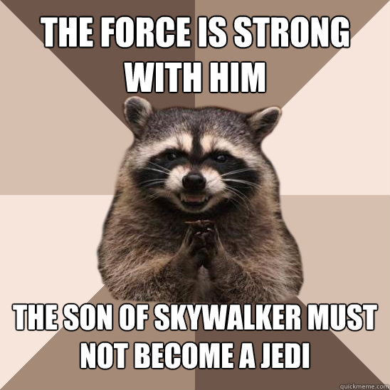 The Force is strong with him The son of Skywalker must not become a Jedi  Evil Plotting Raccoon