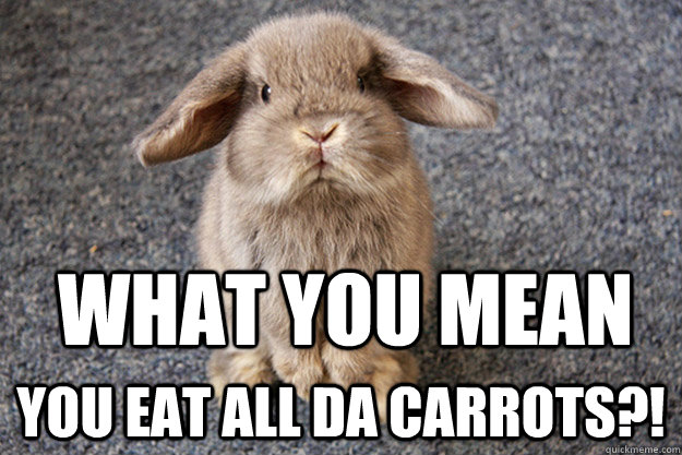 What you mean  You eat all da carrots?!  Sad Bunny