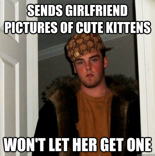 Sends girlfriend pictures of cute kittens won't let her get one  Scumbag Steve