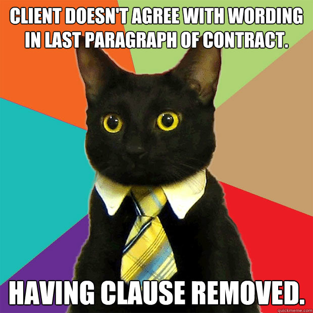 Client doesn't agree with wording in last paragraph of contract. having clause removed.  Business Cat