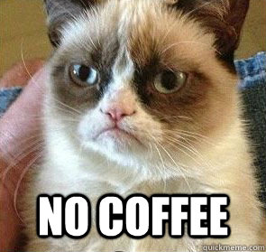  No Coffee -  No Coffee  Grumpy Cat on Reposts