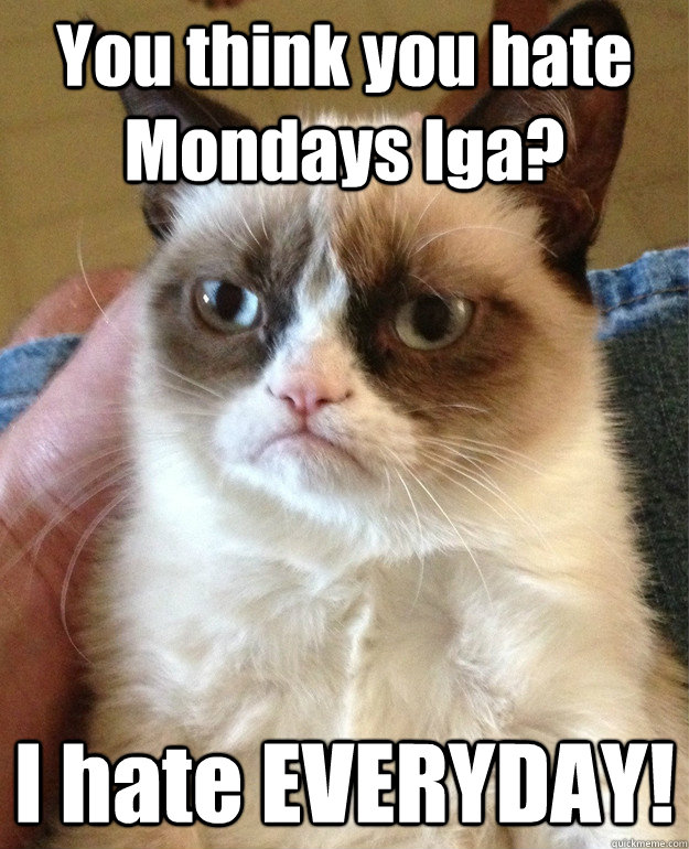 You think you hate Mondays Iga?  I hate EVERYDAY!  Grumpy Cat