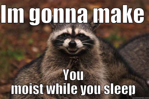 IM GONNA MAKE  YOU MOIST WHILE YOU SLEEP Evil Plotting Raccoon