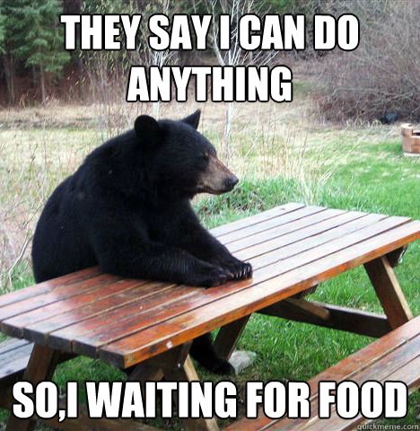 They say I can do anything So,i waiting for food  waiting bear