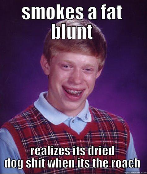 SMOKES A FAT BLUNT REALIZES ITS DRIED DOG SHIT WHEN ITS THE ROACH Bad Luck Brian