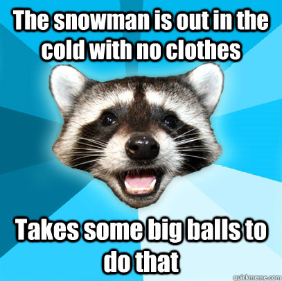 The snowman is out in the cold with no clothes Takes some big balls to do that  Lame Pun Coon