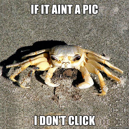 If it aint a pic I don't click  Confession Crab