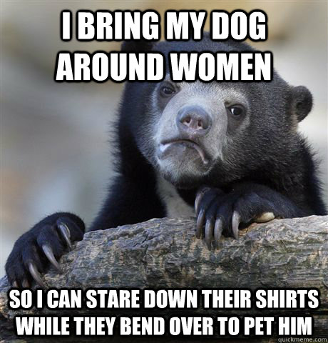 I bring my dog around women so i can stare down their shirts while they bend over to pet him  Confession Bear