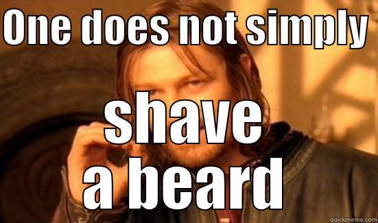 ONE DOES NOT SIMPLY  SHAVE A BEARD Boromir