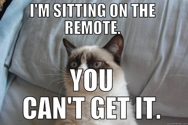 I'M SITTING ON THE REMOTE. YOU CAN'T GET IT. Grumpy Cat