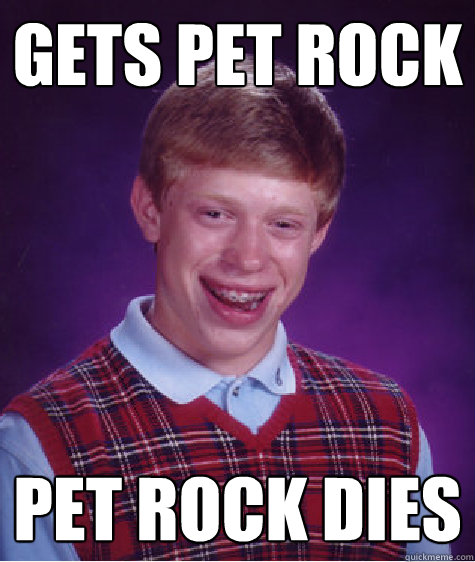 gets Pet rock pet rock dies  Bad Luck Brian