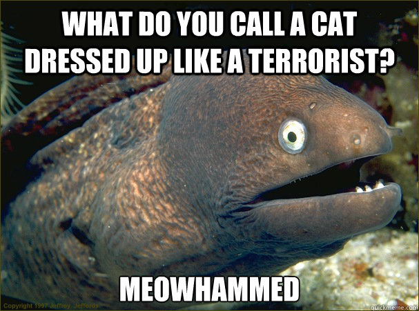 What do you call a cat dressed up like a terrorist? Meowhammed  Bad Joke Eel