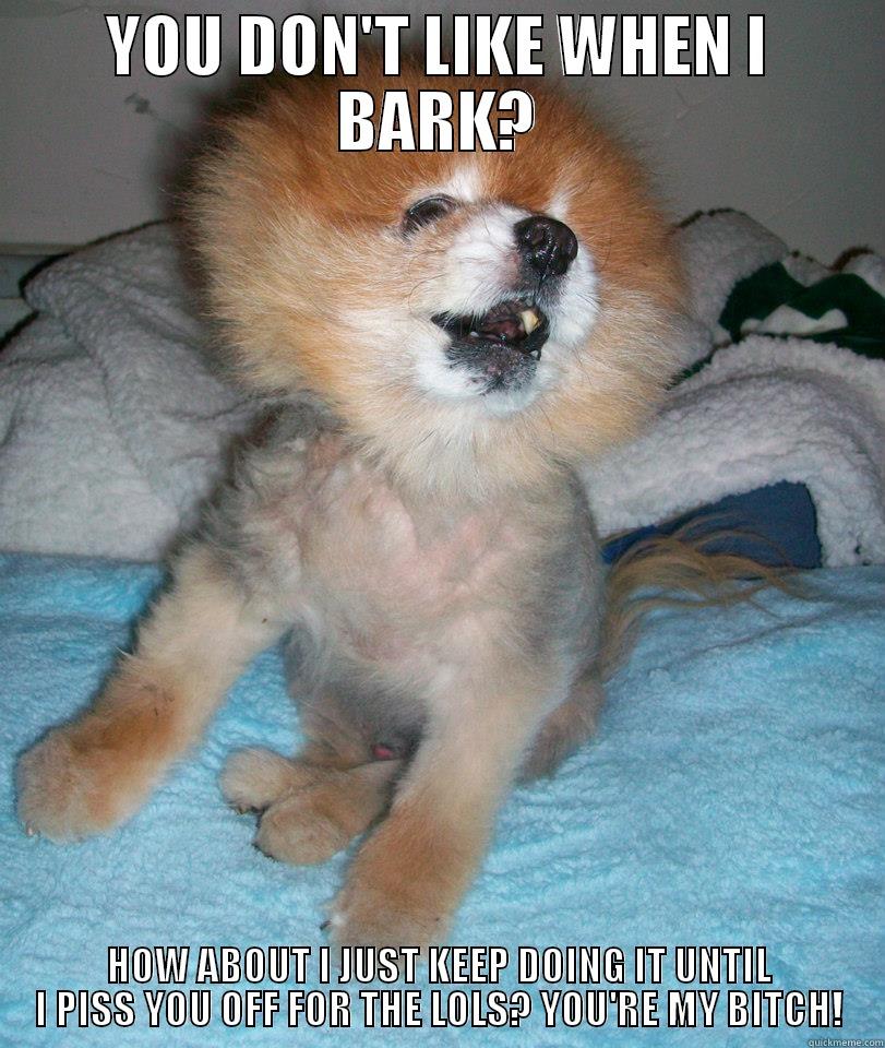 YOU DON'T LIKE WHEN I BARK? HOW ABOUT I JUST KEEP DOING IT UNTIL I PISS YOU OFF FOR THE LOLS? YOU'RE MY BITCH! Misc