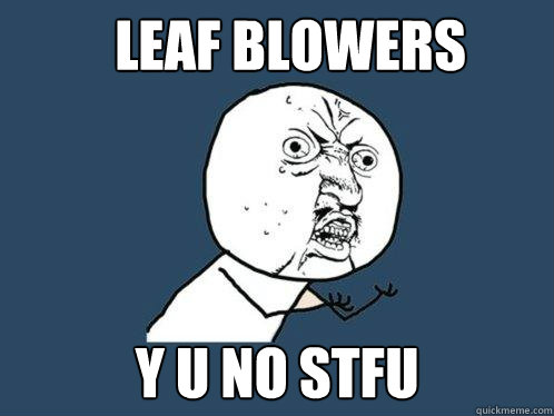 LEAF BLOWERS Y U NO STFU - LEAF BLOWERS Y U NO STFU  Y U No