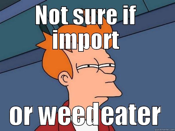 NOT SURE IF IMPORT OR WEEDEATER Futurama Fry