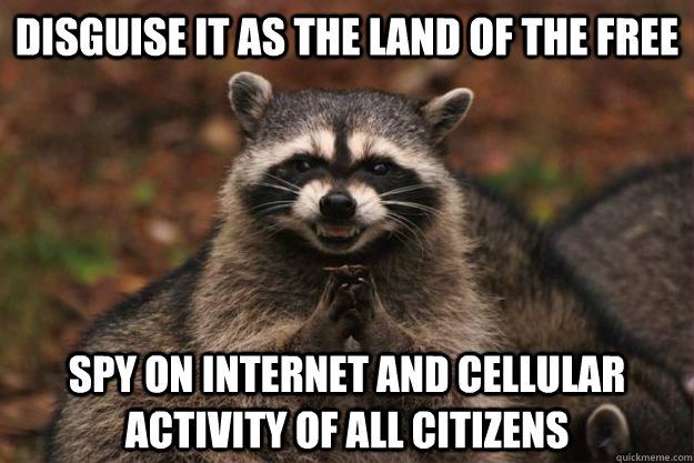 Disguise it as the land of the free Spy on internet and cellular activity of all citizens  Evil Plotting Raccoon