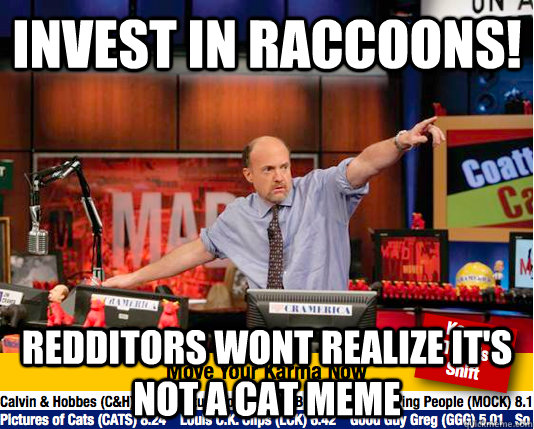 Invest in raccoons!  redditors wont realize it's not a cat meme  Mad Karma with Jim Cramer