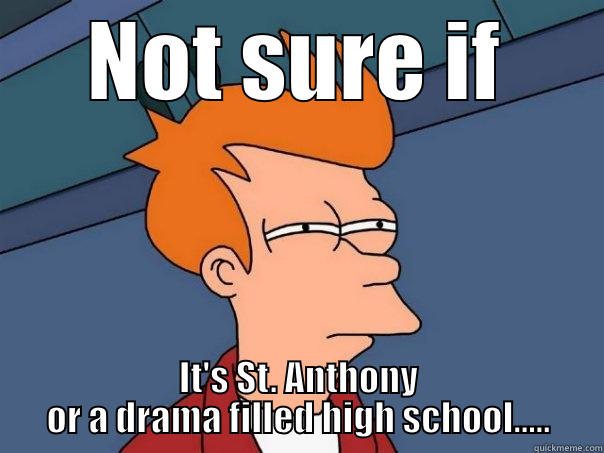 NOT SURE IF IT'S ST. ANTHONY OR A DRAMA FILLED HIGH SCHOOL..... Futurama Fry