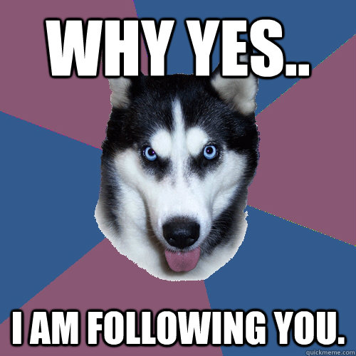 Why yes.. I am following you.  Creeper Canine