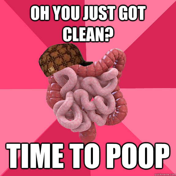 Oh you just got clean? time to poop  Scumbag Intestines