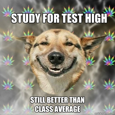 Study for TEST high still better than 
class average  Stoner Dog